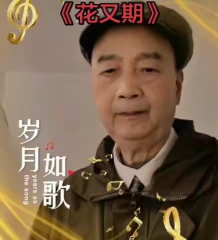 我唱的歌专辑79