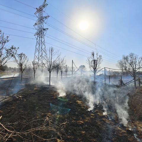 顶风冒严寒扑灭线路通道重燃的山火