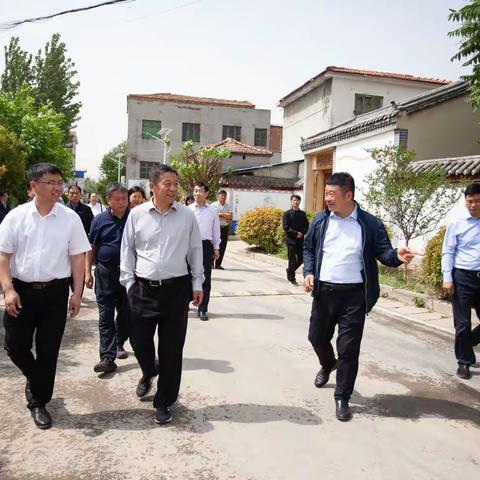 市政协副主席苗琛到冯庄乡开展调研工作