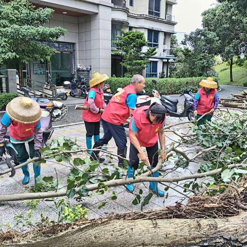 党建引领|高效推进台风“麦德姆”灾后恢复