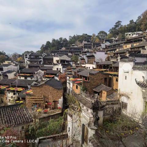 中国“最美乡村”婺源旅游记