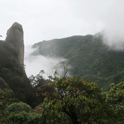 江西三青山照片