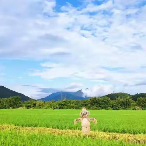 【廊曼】连雨不知春去 一晴方觉夏深