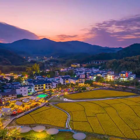 【米社】风吹稻穗 微风稻花香