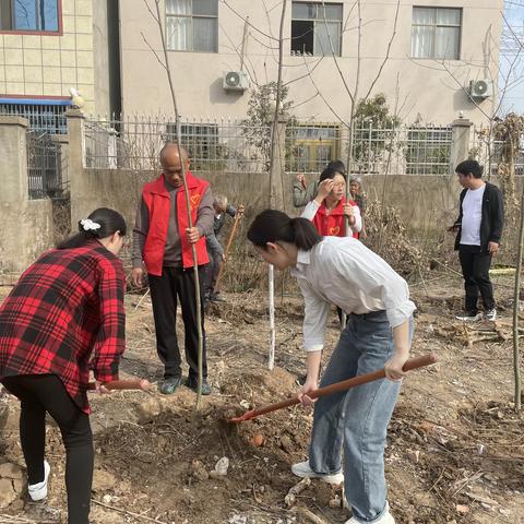 寒雪梅中尽，春风柳上归——桂花街道办事处开展义务植树活动