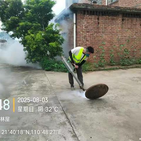 全面蚊虫消杀，筑牢“基孔肯雅热”防控防线