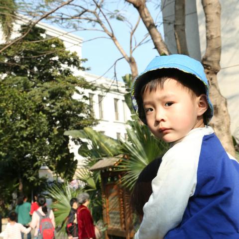 梅子花开的文章—骏骏的童年