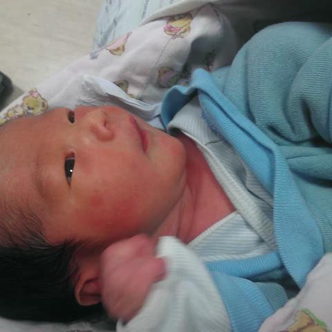 梅子花开的文章-骏骏