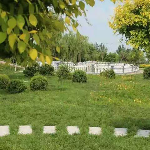 爱在五月，感恩母亲--二中教育集团蒲东校区开展母亲节系列活动