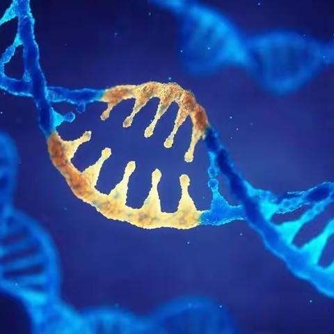 NMN和PQQ和辅酶Q10一起协同作用的奇妙益处，揭示健康新密码。