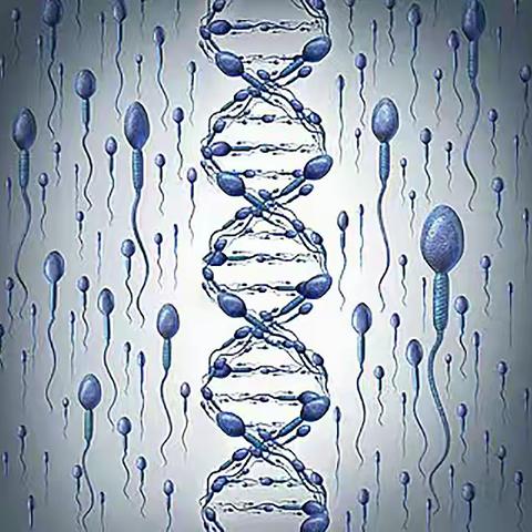 NMN对男性生殖系统细胞的具体作用功效，男人不能说不行。