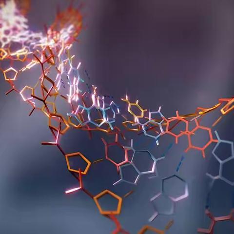 抗衰老前沿探究，DNA修复与NMN补充剂的真相。