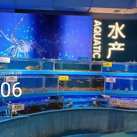 3月6日生鲜第二次开业陈列图片