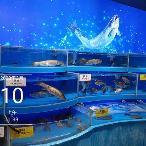 3月10日生鲜第二次开业陈列图片