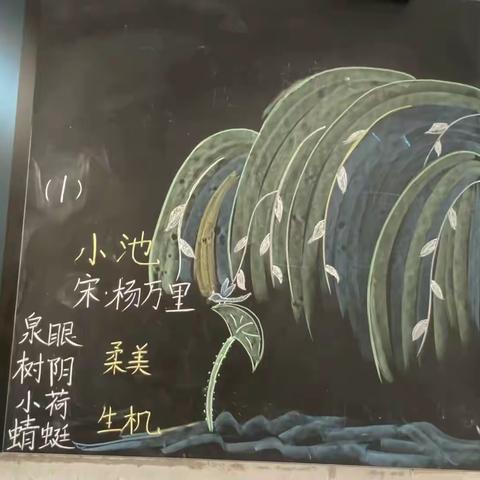 “板”上显匠心，“书”写展风采——向阳小学青年教师板书设计大赛