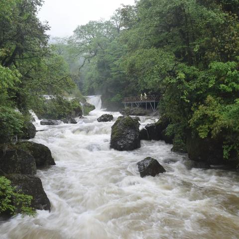 川西寻花记（龙苍沟篇）