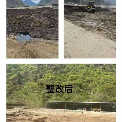 色河铺镇：三举措筑牢秦岭生态保护屏障