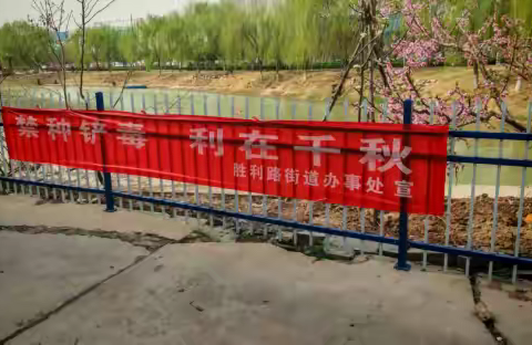 【“三零”创建】南环社区开展禁种铲毒宣传活动