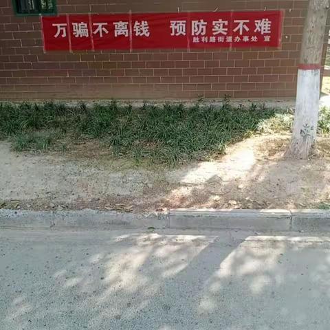 筑牢反诈防线，守护平安家园