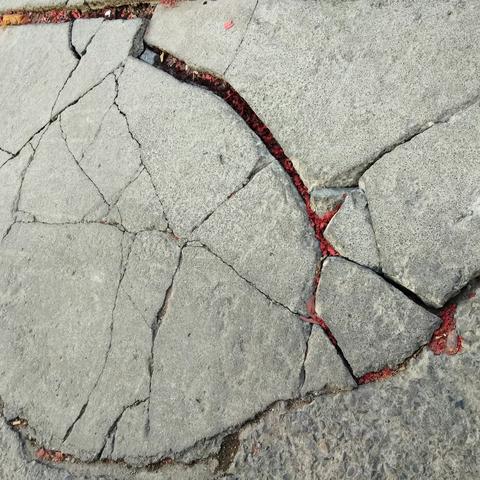 城东街道新泰山社区小区巡查纪实