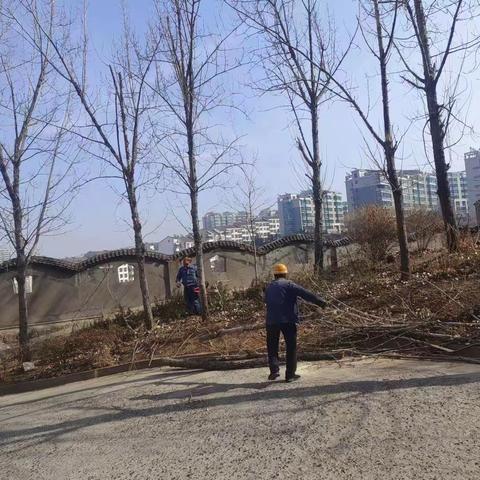 城东街道新泰山社区小区巡查纪实