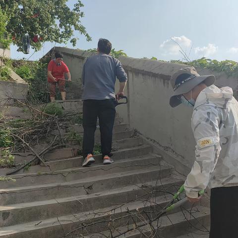 城东街道新泰山社区小区巡查纪实