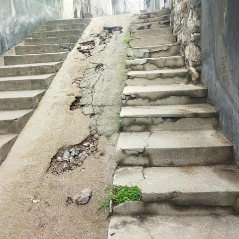 城东街道新泰山社区小区巡查纪实