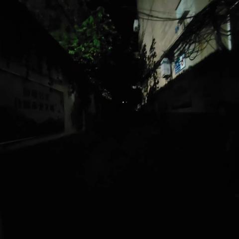 城东街道新泰山社区小区巡查纪实