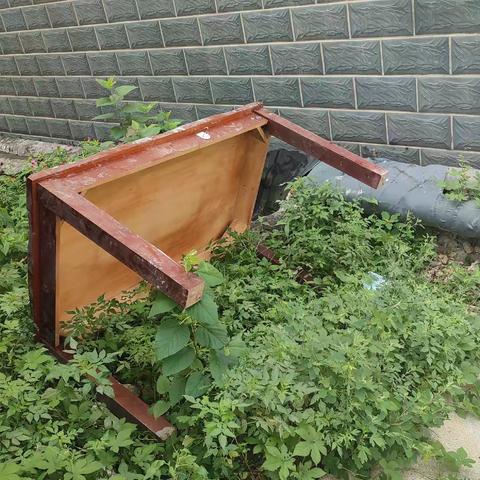 城东街道新泰山社区小区巡查纪实