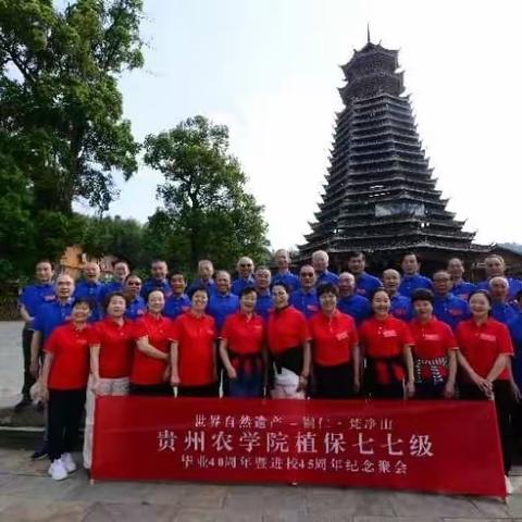 如诗年华，追梦岁月