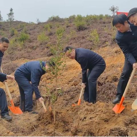 上饶市广信区开展2023年新春义务植树活动