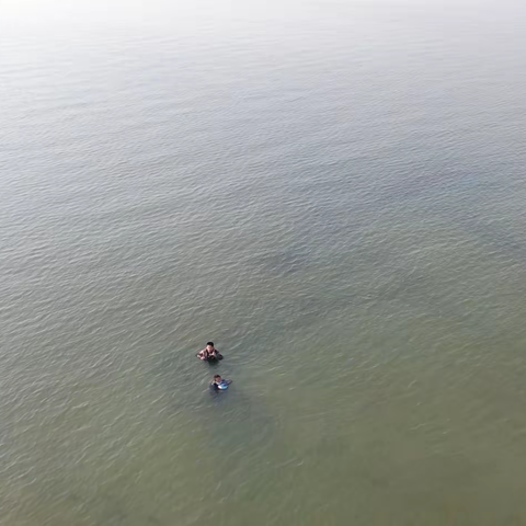 水域救援大队成功营救环湾路白泥地海域被困游客