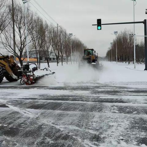 抚顺高新区连续奋战 确保雪停路净