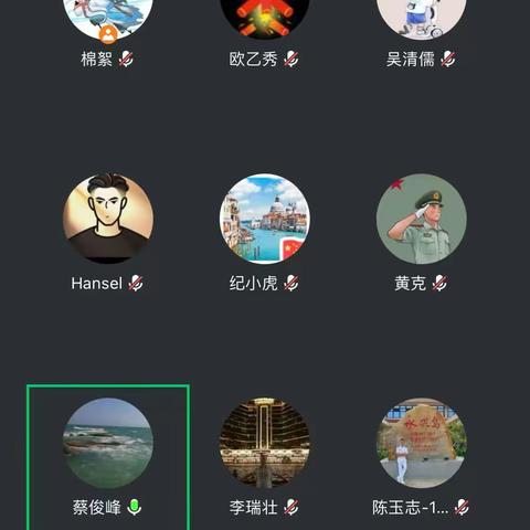 海口市综合行政执法局秀英分局关于春节期间烟花爆竹安全管控工作部署视频会议