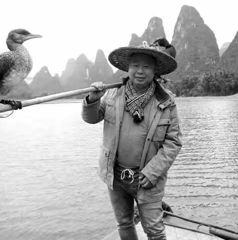 浅淡与清润之气 ——闻山先生的花鸟画