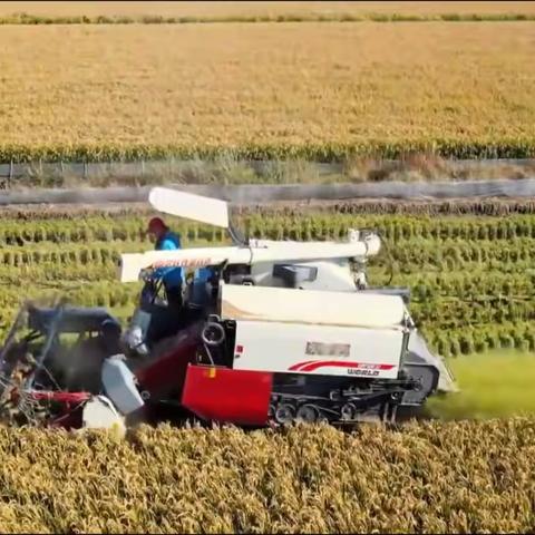 科普知识：联合收割机的原理