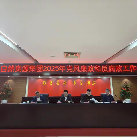 坚定不移纵深推进全面从严治党 为海垦自然资源集团高质量发展保驾护航 —海垦自然资源集团召开2025年党风廉政和反腐败工作会议