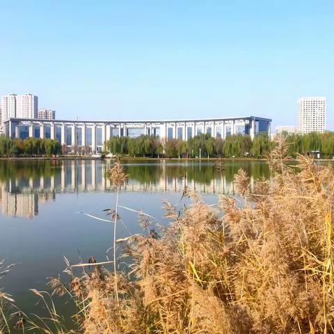 【文润济阳】《初冬安澜湖》赛诗台