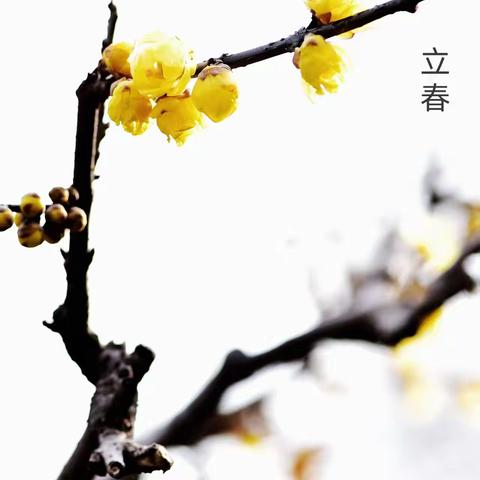 【闻韶赛诗台】廿四节气：立春