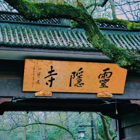 灵隐寺游记