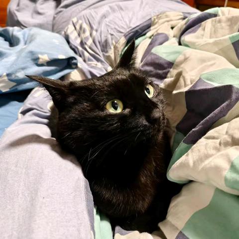 备课的边角料（二十三）：什么是“中古”？为什么采用西方史学概念？