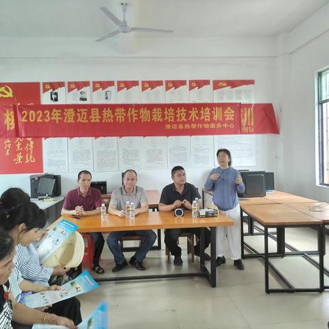 澄迈县举办槟榔病虫害技术培训 提高槟榔种植效益