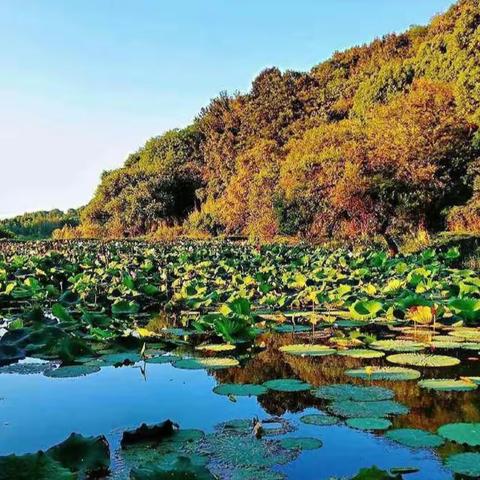 礼敬道德模范，凝聚奋进力量 ——董家埝村2022年度“树文明新风 建美丽乡村”先进模范表彰大会