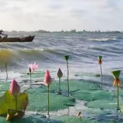 洪湖插队趣闻：教渔民学蛙泳