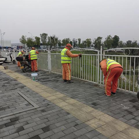 优化城市环境   打造卫生之城