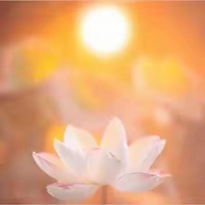 孔孟养正学堂端午节放假温馨提示