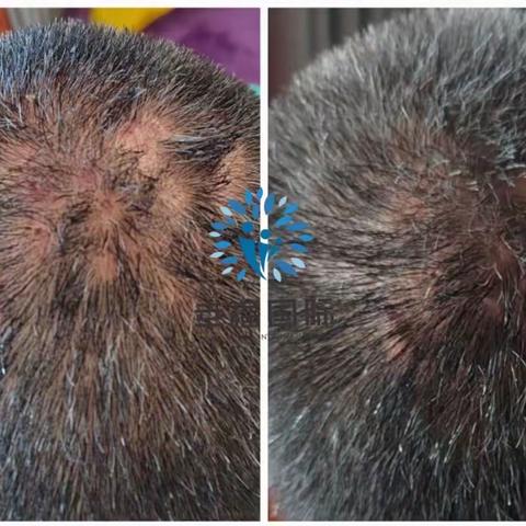 用户3208023的简篇