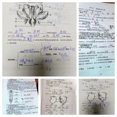 【全环境立德树人】多彩假期，未来可期——潍水学校七年级生物暑假作业调度