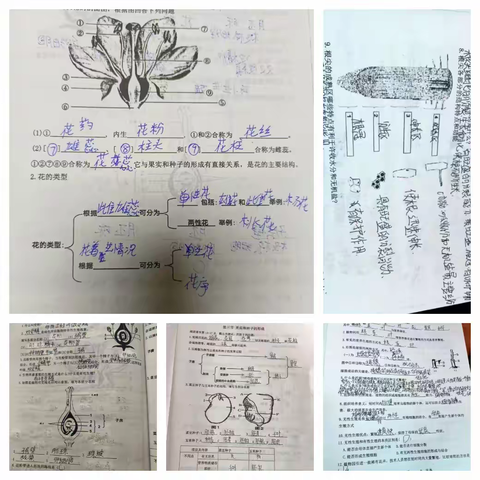 【全环境立德树人】多彩假期，未来可期——潍水学校七年级生物暑假作业调度