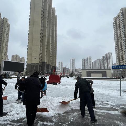 【瑞雪兆丰年  扫雪报平安】智远街道刘智远社区志愿扫雪活动
